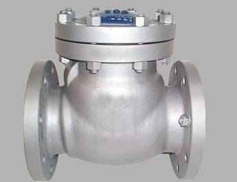 SS Non Return Valves